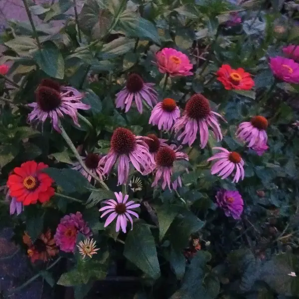 Yes! Ik ben gestart met een blog!