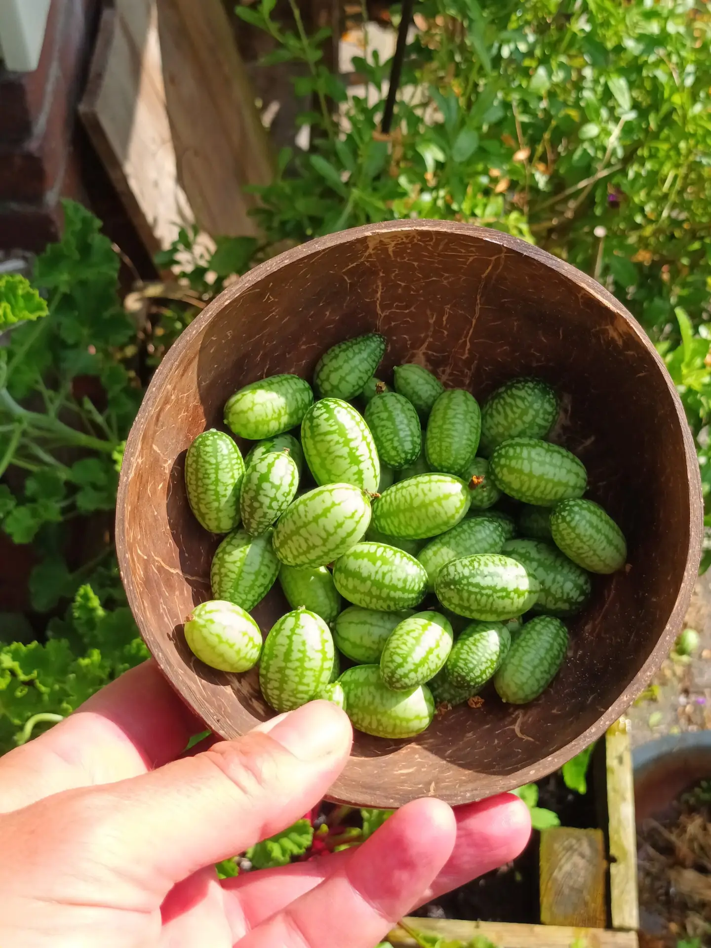 Wat een flop! Mijn eerste vlog