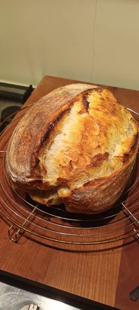 Gebakken desembrood. Zuurdesembrood, recepten met desem