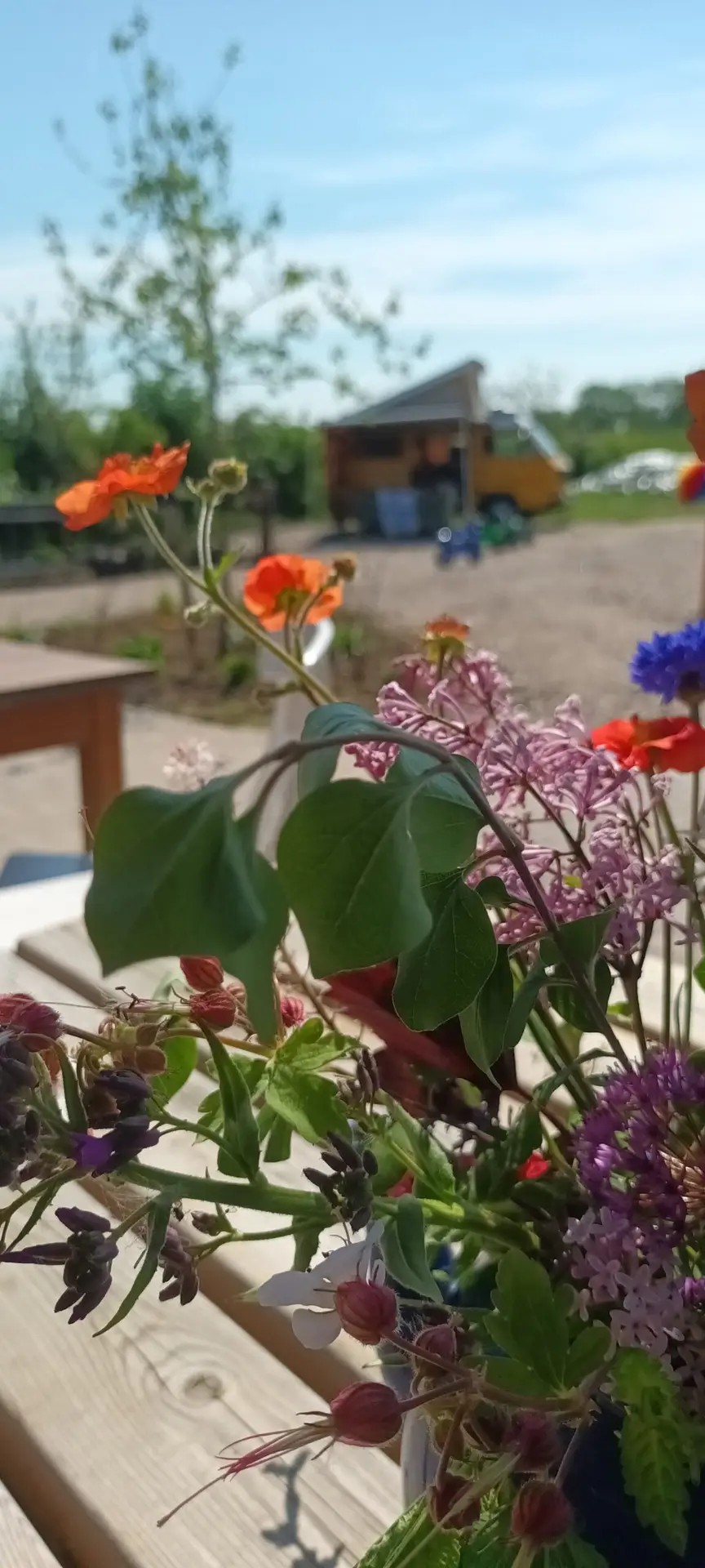 update begin mei 2025