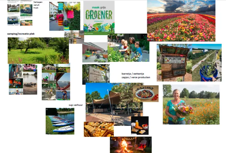 Mijn moodbord wat ik maakte tijdens het loopbaancoachingstraject wat ik volgde.
