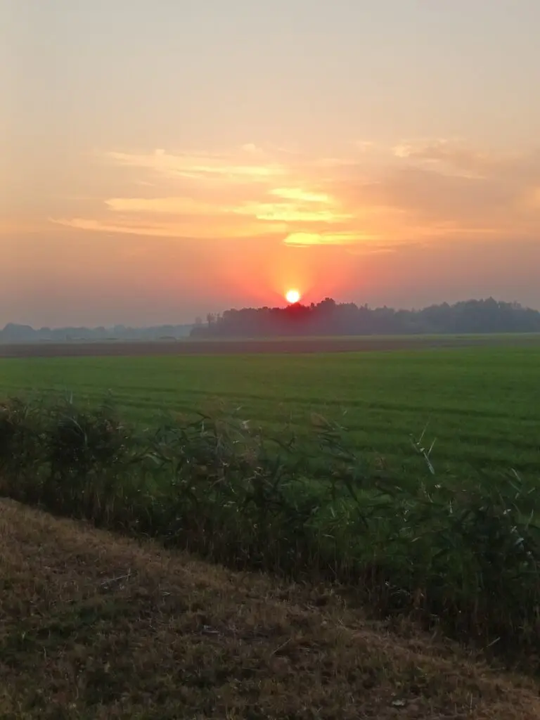 opladen om te kunnen groeien
